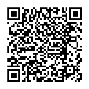 很显然她一项精于心计和算计的脑袋一时间还没有完成这么庞大信息处理二维码生成