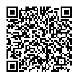 很显然现在发生了这么重大的事情这次的婚礼也算是彻底的泡汤了二维码生成