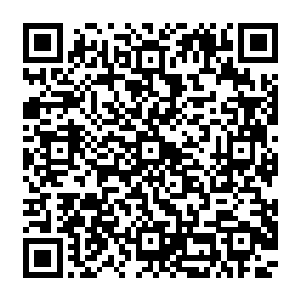 很有可能直接一脑袋撞在折坚硬无比的冰墙之上的……虽然不至于伤害到他们这些至尊强者二维码生成