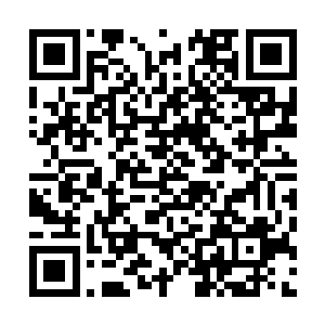 很有可能能够在1994年的年终单曲销量排行榜上占据一个位置二维码生成