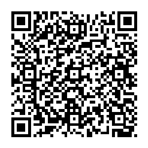 很简单外资税低而且底层的老鼠们一般没有胆子在这种纯外资的公司身上打歪主意二维码生成