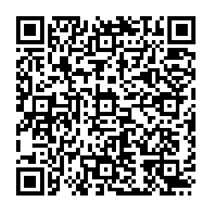 很难想像他会在前后两部影片里有相差这么大的表现――难道芬奇是他的最佳拍档吗二维码生成