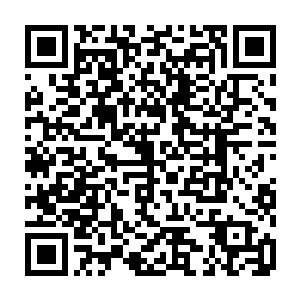 很难想象一帮老外一起看到这种动辄几百万字的网络小说时是种什么感想哇二维码生成