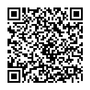 律师事务所那边我已经安排了他们在明天早上九点前拟定好你的雇佣合同二维码生成