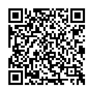 律师将厚厚一沓文件放置在周文昂面前请他签署二维码生成