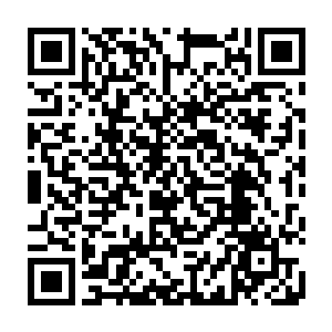 徐怀瑾出身苍狼在苍狼中的威望即使张恩远与张一虎两个曾经的统领都难以比拟二维码生成