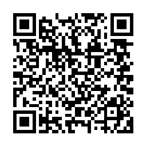 徐有容确实比世间绝大多数修道强者包括陈长生强个几百上千倍二维码生成