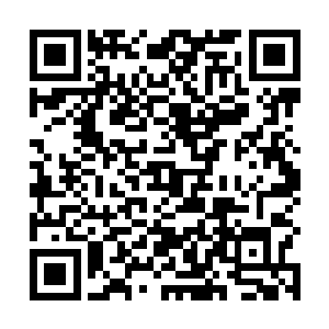 徐汇刚才才跟杨开汇报过这段时间弟子们打探到的消息二维码生成