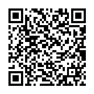 徐阶的这一建议也可以使在场所有人不管提还是没提的建议二维码生成