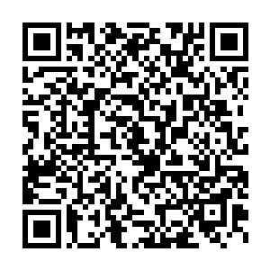 得出的结论让他们彻底失去了人生的信心――洪大力搞出这么大的阵仗二维码生成