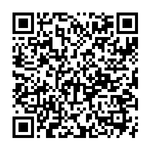 得到了大量血肉和原始晶核进补的异形皇后实力也得到了进一步的提升二维码生成