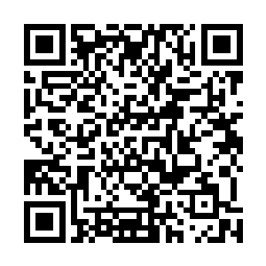 得到了社会党全力支持的塞万方才取得了如此惊人的成绩二维码生成