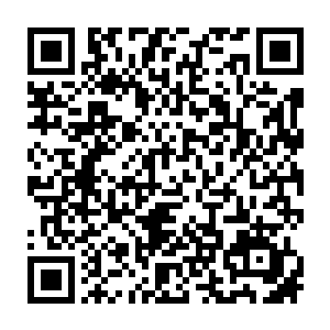 得到了诸多法相力量加持的楚旬速度已经暴涨到了一个让人难以置信的地步二维码生成