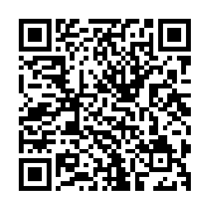 得到云起舞的提醒便开始去注意墙壁上的抓痕以及地上的脚印二维码生成