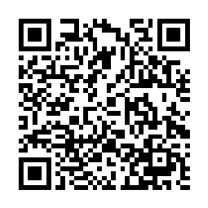 得到凌菲的首肯后白娇也万分激动的加入了挖芋头的行列二维码生成