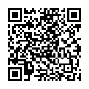 得到的力量中除去上交给艾伦用来维护要塞结界的那部分二维码生成