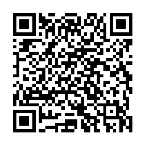 得在他们回到原仙者区域之前拦住并制止他们的争锋死斗二维码生成