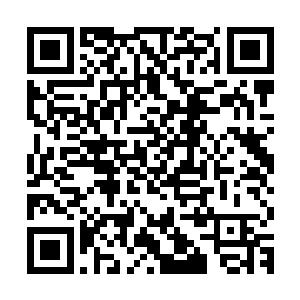 得把你的先进经验和理念好好给我们这边的书记市长们传授传授二维码生成