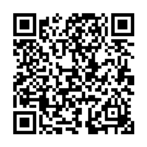 得知了这条消息的南宫璟月漂亮的脸庞上浮现出了一抹冷笑二维码生成