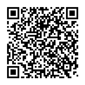 得知张潇晗与木槿当时就是和夜未央从类似的通道进入到神界的时候二维码生成