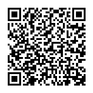 得罪了苏小爱和君无妄……说不定就是君无妄和苏小爱两个把爸爸囚禁了起来二维码生成