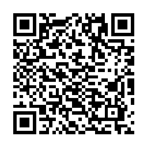 御林军各支部队以及天极星地表的几百座修仙者大城上演二维码生成