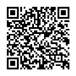 御风燕心中那积蓄已久的思念和痛苦再也控制不住的爆发了出來二维码生成