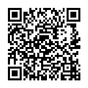 微微上翘的下颌和笔ting的鼻梁看上去总代有一种隐隐的高傲二维码生成