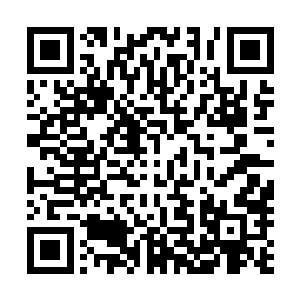 微微敞开的院门就好像微微打开的散发甜味的捕虫草的盖子二维码生成