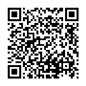 微微的感叹了一声王莉觉得自己的消息打探的也是差不多了二维码生成