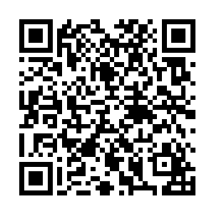 心中大急的罗荒刚准备拍动储物袋放出几道护身的符咒二维码生成