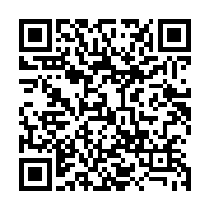 心中已经开始根据那些财物的价值计算每一个押注区的赔率二维码生成