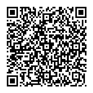 心中暗自盘算 却是不经意间就过了数个时辰 当四周景物开始变换的时候 他才收敛心神 细细的打量四周二维码生成