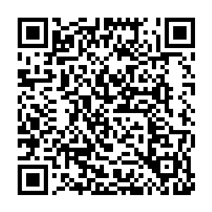 心中暗道一定要夺得九大传承之中的一门并得到离开蛮荒大陆的机会二维码生成