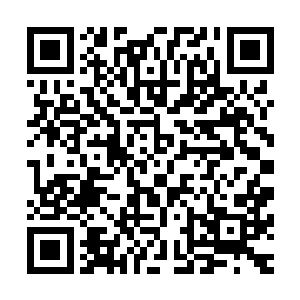心中竟是爽快了起来我也是要去夏威夷参加医药研讨会的人了二维码生成