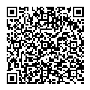 心头低估 但脸上却是沒有什么变化 对于这些城府极深的老怪來说 面无表情却是使用的炉火纯青了二维码生成