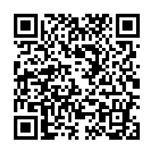 心尖涌过一缕缕的电流――竟然是极其罕见的变形晶铠二维码生成