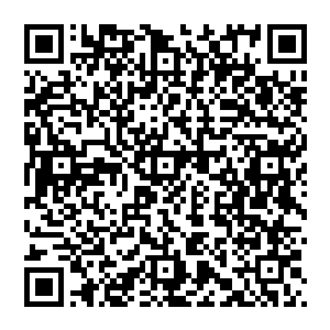 心里下定决心上一世自己失去了父母的疼爱在这一世我有了强大的实力一定要尽全力保护我的家人二维码生成
