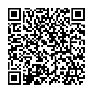 心里则不由无力地升起一种不舒服的想法――自己看来的确有杨破军的基因二维码生成