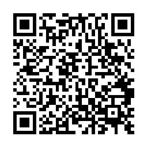 心里却像一只小手在使劲儿挠啊挠一样……忘了什么呢二维码生成