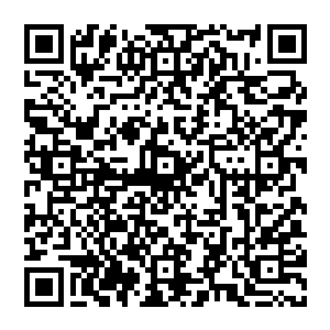 心里是半分也没有觉得女儿的做法有什么不妥的――他的心里也压根是半分都没有瞧得起张潇晗的二维码生成