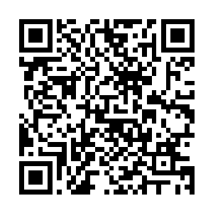 心里是懊恼的恨不得拍死自己――要是自己方才就出门的话二维码生成