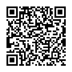 心里都清楚仙帝和我们之间的战斗才是最终决定两界胜负的关键二维码生成