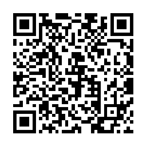 心魔魔兽的惨叫声和激烈的能量撞击声不断在大殿中回荡着二维码生成
