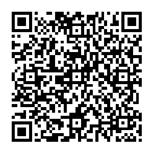 必要绝世妖孽横空出世……唔……果不其然……沈凡……好熟悉的名字啊……老夫掐指一算二维码生成