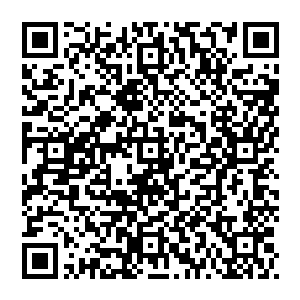 必须找个机会用必须破防之刃把他的头给砍下来……否则就得动用气功炮那个级别的招式才能将其击杀了……二维码生成