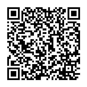 必须是在身体和精神都处于自由状态和自我意识支配下被你杀死的这种动物二维码生成