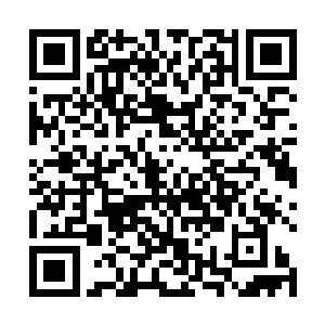 必须是那种传承极其完整的家族才会出现这种天才弟子二维码生成