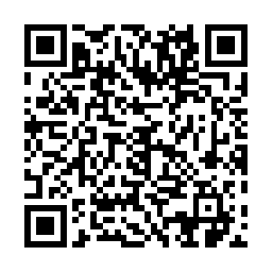 必须立刻坐飞机飞回东北老家去……你们没什么事儿的话二维码生成