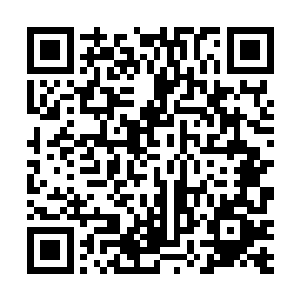 必须能熟练地排除故障和使用机动工具上的设备及武器二维码生成